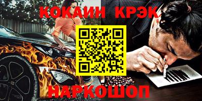 стафф Кингисепп