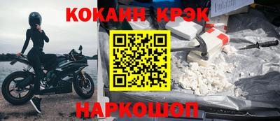 стафф Кингисепп