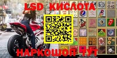 стафф Кингисепп