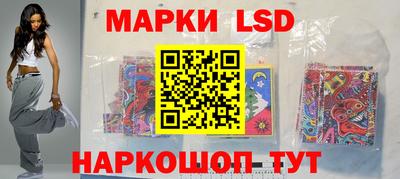 стафф Кингисепп