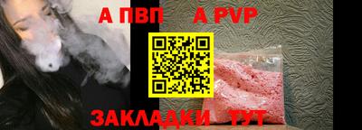 стафф Кингисепп