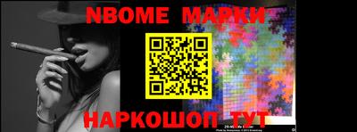 стафф Кингисепп