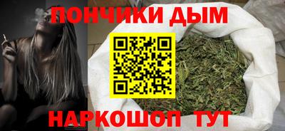 стафф Кингисепп