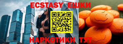 стафф Кингисепп