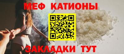 стафф Кингисепп
