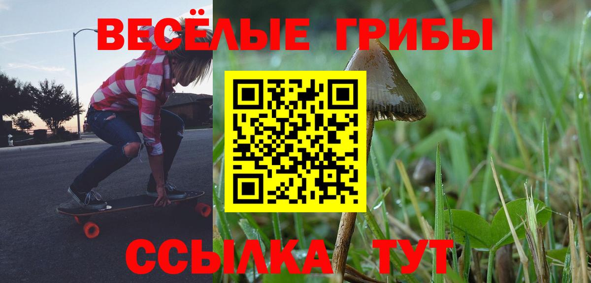 Галлюциногенные грибы прущие грибы Красногорск
