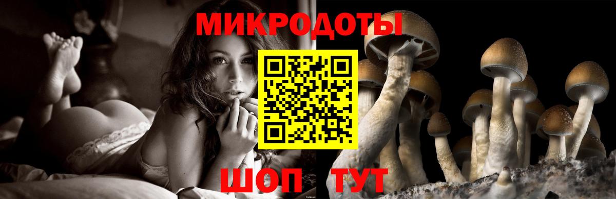 Красногорск  Галлюциногенные грибы мухоморы  Вход с VPN 